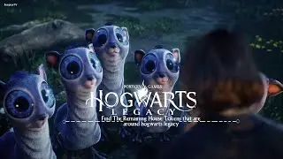 Find The Remaining House Tokens That Are Around Hogwarts Legacy.