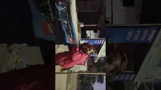 Julie Julie song behind the scene 🔥🔥 #trending #dance #shorts