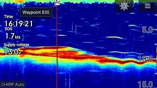 2D Sonar 101