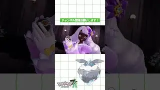 Fairy-type user 