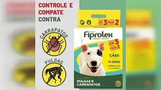 Review: Ceva Fiprolex Antipulga e Carrapato C&atilde;es 11-20kg 3 Pipetas