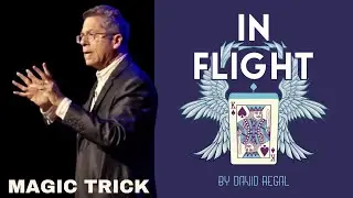 In Flight Magic Trick by David Regal