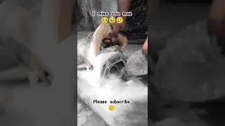 i miss you maa 🥲 Jiya Jiya Jiya re utha Gola Mahi Teri chunariya 🥹 #manjulika #nandai #mohan