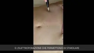 Prenota subito la tua prova gratuita!