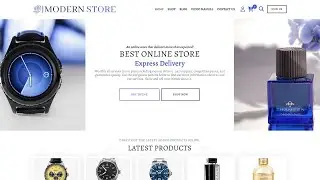 WordPress Ecommerce Modern Store Theme