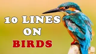10 Easy Lines on Birds in English