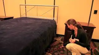 Bed Bug DNA sampling