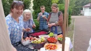 Odpust i Piknik parafialny 2025