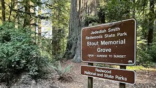 Road Trippin' Redwood Country: Redwood National and State Parks