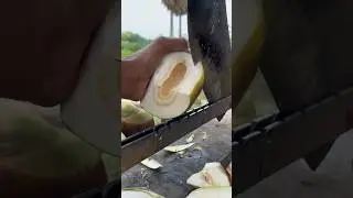 Amazing Toddy Palm Ice Apple Cutting Skills in Village #palmcutting #amazingskill #shorts
