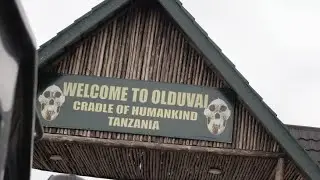 Is Humanity Doomed? Exploring the Olduvai Gorge Museum