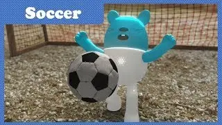 Ep23 Soccer | Space Jungle S2 | Funny Cartoon | Kids Cartoon | COAN Studio