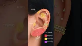 Ear Piercing Healing Times Explained | Helix, Conch, Daith, Rook & More