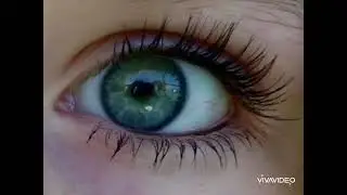 Green eyes 👀😍