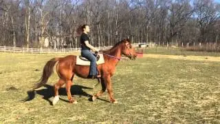 Roper