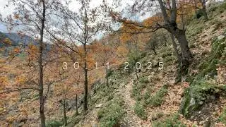Goldenriver Valley in Autumn | Peaceful Walking Vlog