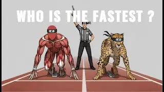 Human vs. Cheetah: Who Actually Wins? (The Answer Will Surprise You)