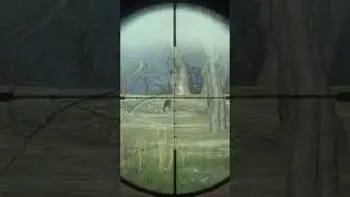 The hunter :call of the wild // quick kill😈😈