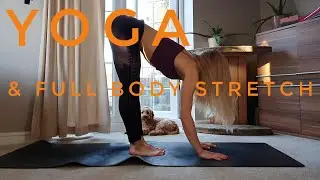 After workout slow down - Full body stretch 💆 Yoga by Karolina