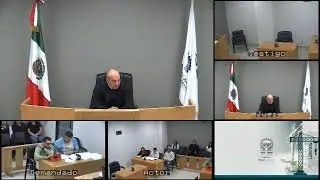 Audiencia Preliminar Laboral