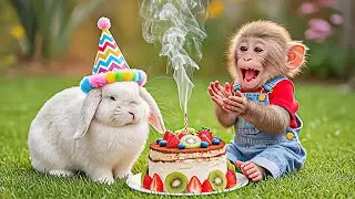 Monkey Nana Bakes a Birthday Cake for Bunny and Celebrates the Party 🎂🐒🐰🎉