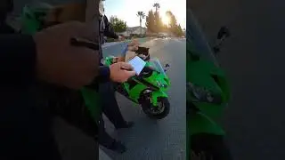 Cats Caught Breaking Traffic Rules 😹🚦