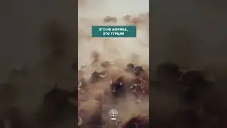 #turkey #turcia #tiktok #usa #reels #reaction #recipe #recommended #rek #rekomendasi #recipes #top