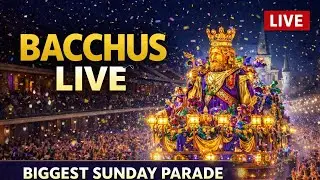 Bacchus Parade LIVE - New Orleans Mardi Gras 2026