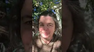 John Taylor Gatto - The Green Monongahela - dumbing us down