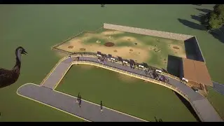 Planet Zoo Gameplay Building Emu Habitat