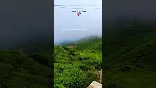 #greencity #ilam #nepal#godlink