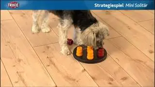 Trixie Activity Solitaire Dog Toy
