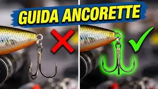 Ancorette da pesca: differenze, modelli e consigli per scegliere quelle giuste