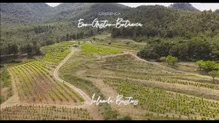 Eno &ndash; Gastro &ndash; Botanical experience at Vinyes Domenech