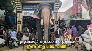 ഗുരുവായൂരപ്പൻ്റെ ഇന്ദ്രസെൻ ആദ്യമായി ഇന്ന് തൃപ്രയാർ തേവരുടെ മണ്ണിൽ എത്തിയപ്പോൾ😍🙏🏻 Guruvayoor indrasen