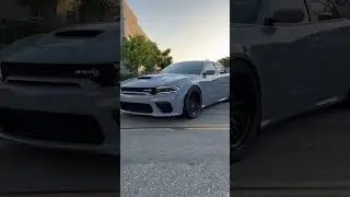 The 🐈&zwj;⬛ with its new shoes!! VT Forged GT-B Comp Spec wheels matching perfectly with Toyo Tires