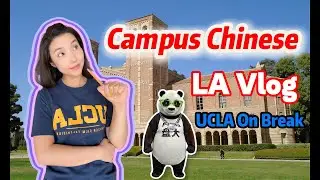 Is Your Chinese Good Enough for School? Mandarin for Beginners