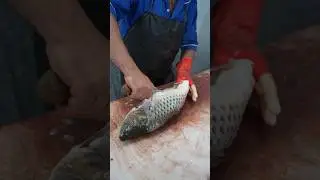 Best Method to Peel Off Carp Fish Skin Safely