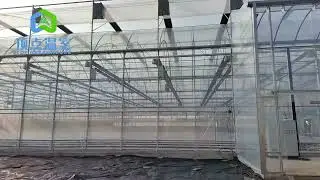 TOP GREENHOUSE - Commercial Plastic Greenhouse