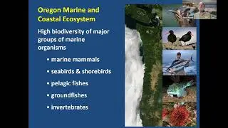 Oregon Shellfish in an Acidified Ocean