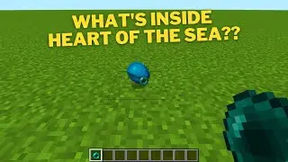 Minecraft, what's inside heart of the sea??