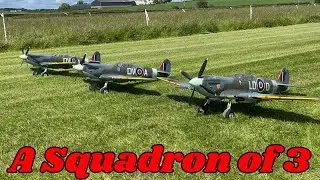 A Squadron of Three! Fliteline Spitfires Take To The Air