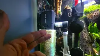 how to hide internal filter and water heater in your small aquarium,fish tank.aquascaping tips