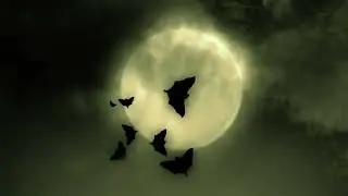 Bats and the full moon on Halloween|Abstract|Background|Moving Background|Animation|3d|Horror