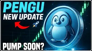🚀 PENGU Coin Latest Update 🔥 | Penguin Coin Price Prediction | Pengu Breaking Crypto News 🐧💰