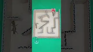 Mole Cricket's Incredible Maze Run