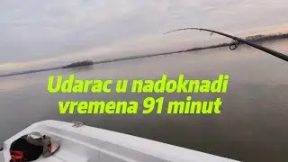 Pecanje smudja * Zimsko muvanje na kedera