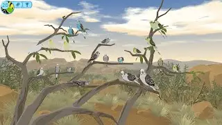 Budgie Genetics Simulator | Ep5
