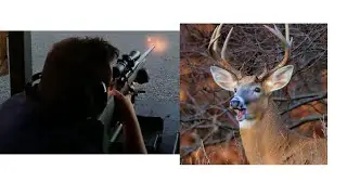 The Most Efficient Hunting Cartridges: Most Bang for your Buck!