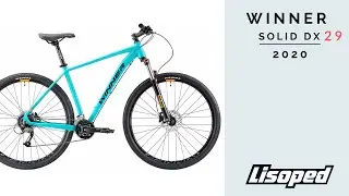 Горный велосипед Winner Solid DX 29 (2020)